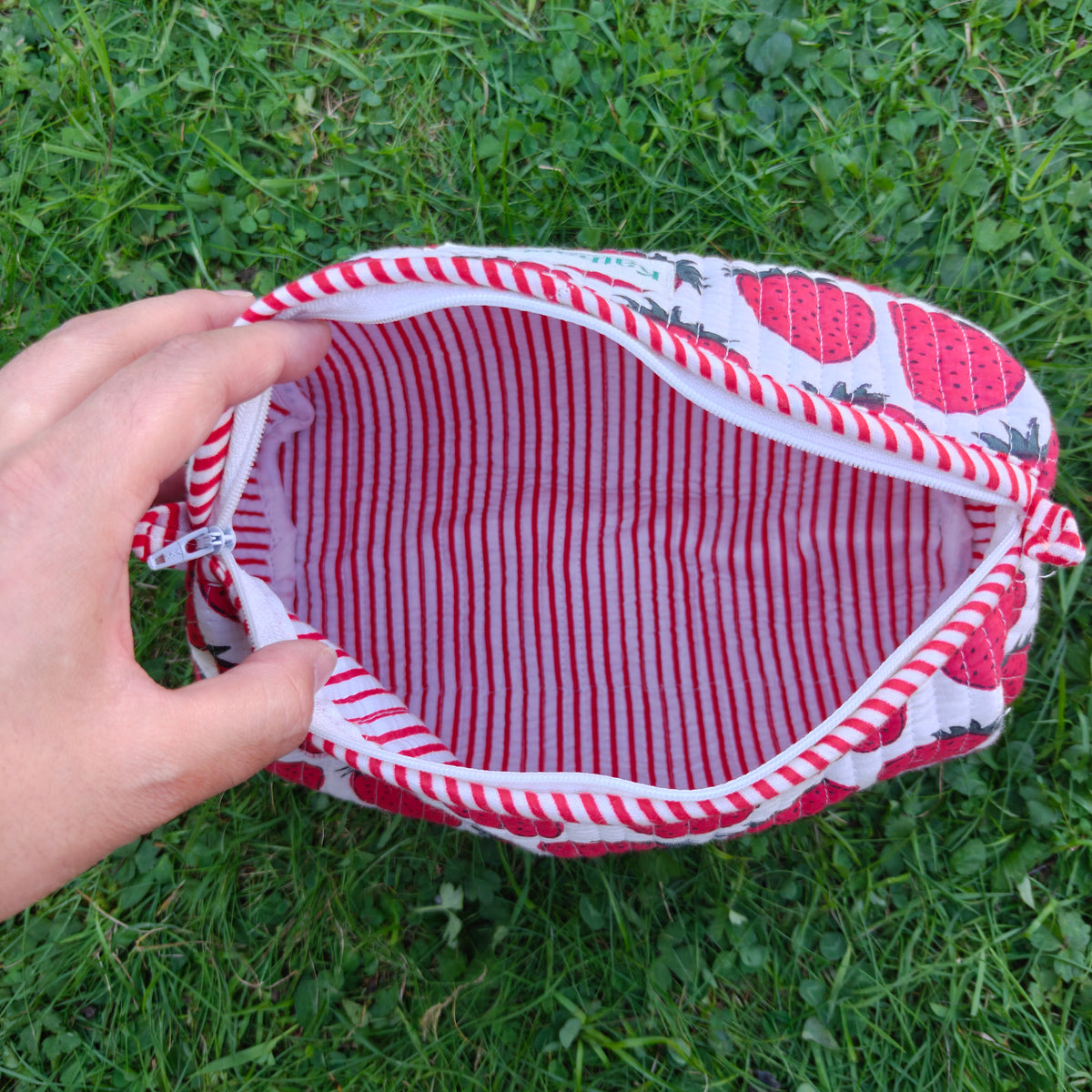 Strawberry Wellness Pouch